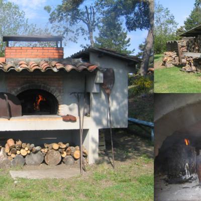 Wood oven and barbecue