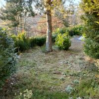Img20211204161034